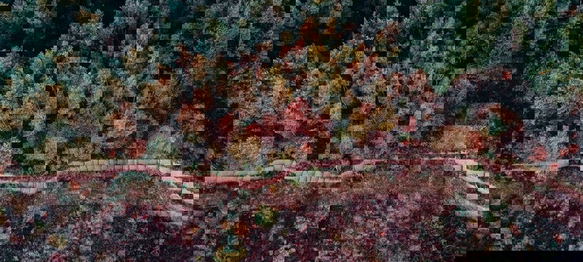 Mechelse Hei Yusuf Evli Xbqgsbxj 0K Unsplash