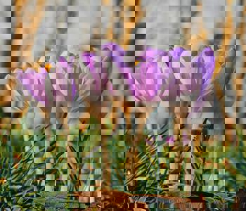 Pexels Boys In Bristol Smokz 1902928 16034749