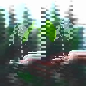 Pexels Akil Mazumder 1072824