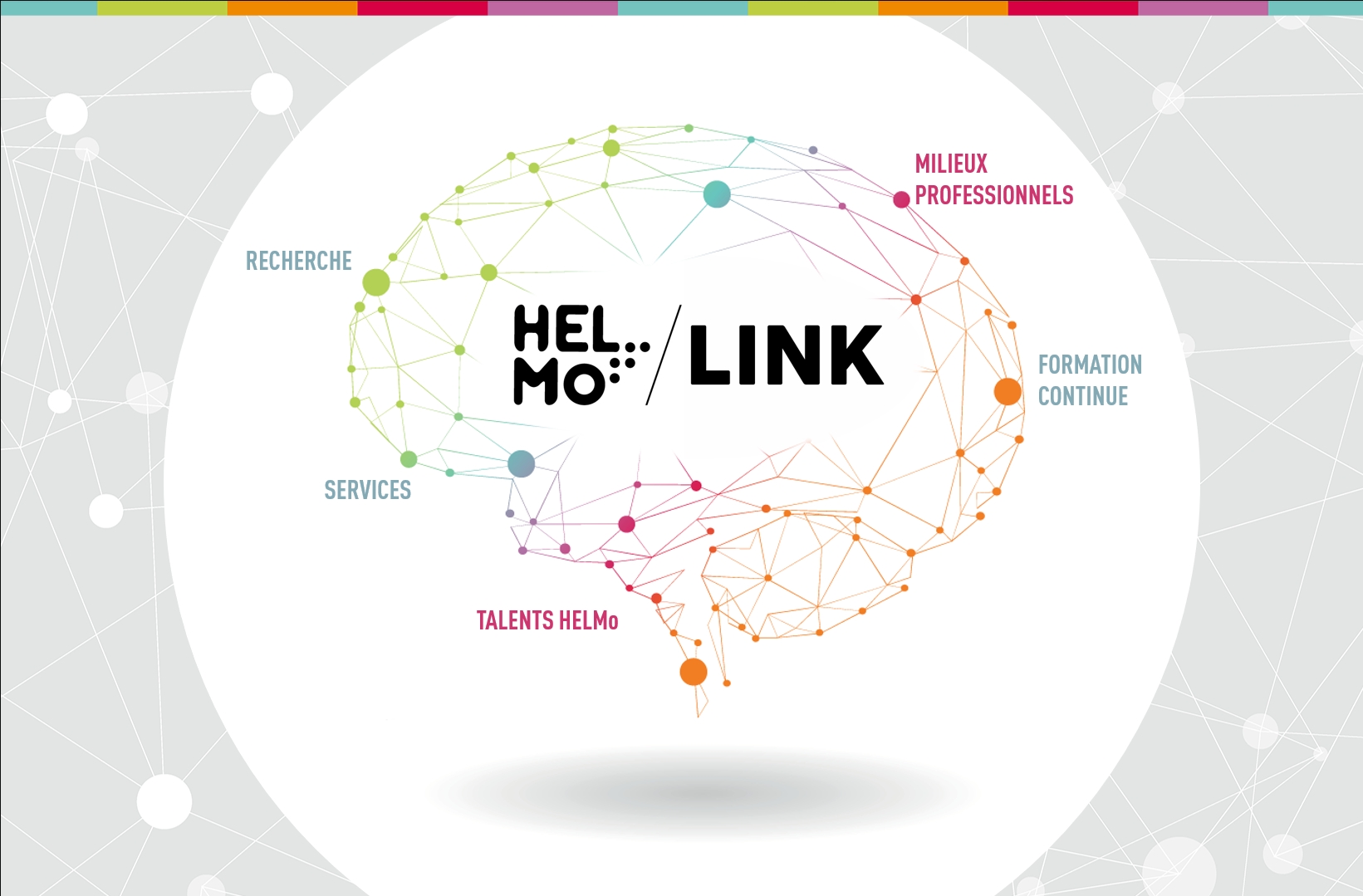Helmo Link