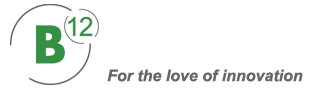 Logo B12 Consulting