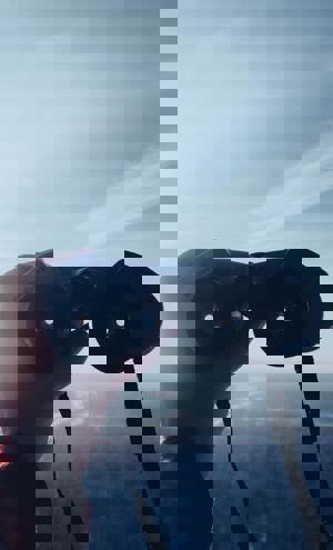 Pexels Maria Shikhireva 81839917 10599784